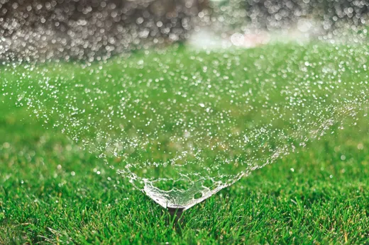 Sprinkler head irrigating a green lawn — Elzey Services
