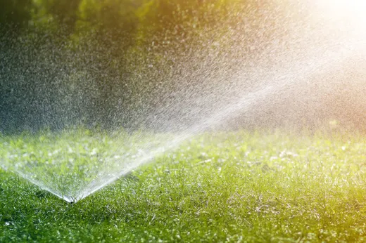 Sprinkler spraying water backlit by sunlight